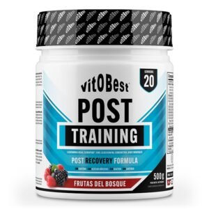 POST TRAINING 500GR VITOBEST